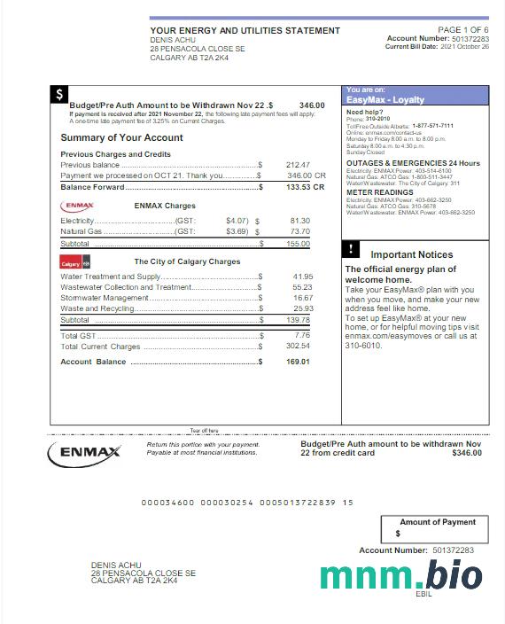 Canada Enmax rachunek za media Word i PDF template